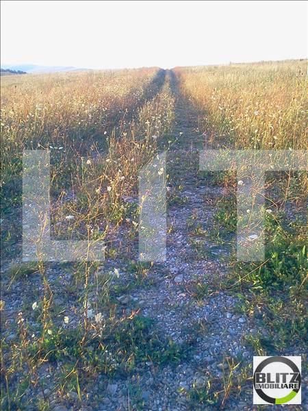 Teren de vânzare Andrei Mureşanu - 23374TV | BLITZ Cluj-Napoca | Poza6