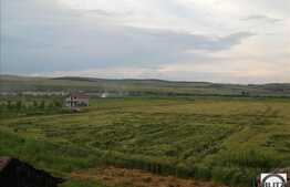 Teren in zona Iclod, 60.000 mp + castel!