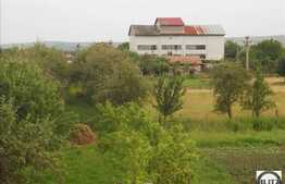 Teren in zona Iclod, 60.000 mp + castel!