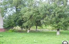 Teren in zona Iclod, 60.000 mp + castel!