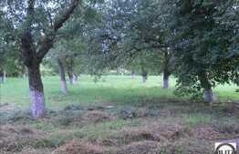 Teren in zona Iclod, 60.000 mp + castel!