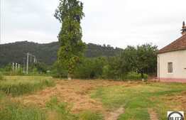 Teren in zona Iclod, 60.000 mp + castel!