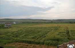 Teren in zona Iclod, 60.000 mp + castel!