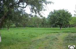 Teren in zona Iclod, 60.000 mp + castel!