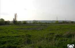 Teren 3,5 ha! Moara din Jucu! Lac de pesti!  Situat la soseaua principala.