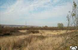 Teren 3,5 ha! Moara din Jucu! Lac de pesti!  Situat la soseaua principala.