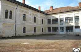 Patrimoniu Cultural din Jucu + teren construibil de 10.000 mp!