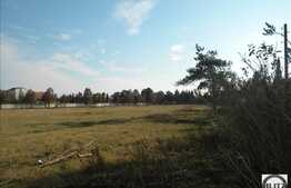 Patrimoniu Cultural din Jucu + teren construibil de 10.000 mp!