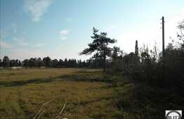 Patrimoniu Cultural din Jucu + teren construibil de 10.000 mp!