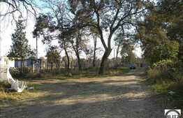 Patrimoniu Cultural din Jucu + teren construibil de 10.000 mp!