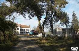 Patrimoniu Cultural din Jucu + teren construibil de 10.000 mp!