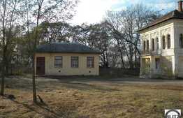 Patrimoniu Cultural din Jucu + teren construibil de 10.000 mp!