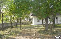 Patrimoniu Cultural din Jucu + teren construibil de 10.000 mp!