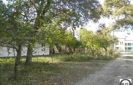 Patrimoniu Cultural din Jucu + teren construibil de 10.000 mp!