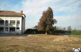 Patrimoniu Cultural din Jucu + teren construibil de 10.000 mp!