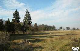 Teren 7 ha!  Cu front la drumul principal ! Toate utilitatile.