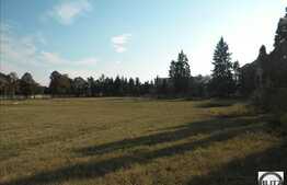 Teren 7 ha!  Cu front la drumul principal ! Toate utilitatile.