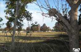 Teren 7 ha!  Cu front la drumul principal ! Toate utilitatile.