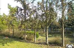 Teren 7 ha!  Cu front la drumul principal ! Toate utilitatile.