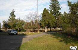 Teren 7 ha!  Cu front la drumul principal ! Toate utilitatile.