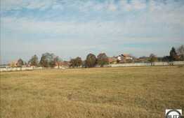 Teren 7 ha!  Cu front la drumul principal ! Toate utilitatile.