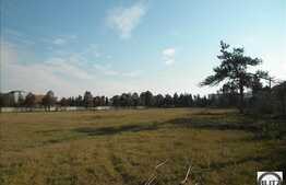 Teren 7 ha!  Cu front la drumul principal ! Toate utilitatile.