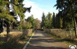 Teren 7 ha!  Cu front la drumul principal ! Toate utilitatile.