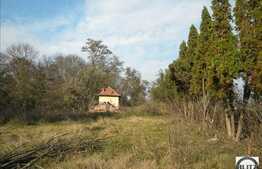 Teren 7 ha!  Cu front la drumul principal ! Toate utilitatile.