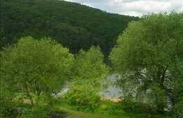 Teren 2347 mp, acces lacul Gilau. Ideal constructie pensiune, casa de locuit!