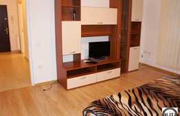 Apartament 1 camera 42 mp pentru studentii de la medicina! Zona Viilor!