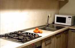 Apartament cu 3 camere, 130 mp, mobilat modern, garaj,terasa, zona strazii Trifoiului!