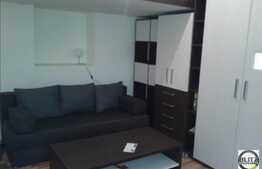 1 camera, 20 mp, La prima inchiriere, totul nou, zona piata Muzeului