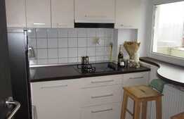 1 camera, 38 mp, mobilat modern, AC, parcare, zona strazii Horea