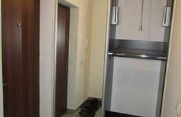 1 camera, 38 mp, mobilat modern, AC, parcare, zona strazii Horea