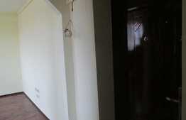 Apartament de vanzare 2 camere, 40 mp, zona centrala