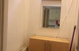 Apartament cu 1 camera, 30 mp, imobil tip casa, mobilat modern, acces gradina