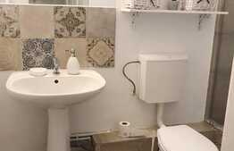 Apartament cu 1 camera, 30 mp, imobil tip casa, mobilat modern, acces gradina