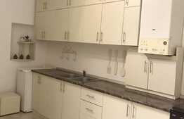 Apartament cu 1 camera, 30 mp, imobil tip casa, mobilat modern, acces gradina