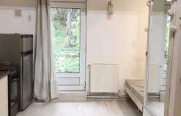 Apartament cu 1 camera, 30 mp, imobil tip casa, mobilat modern, acces gradina