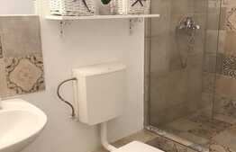 Apartament cu 1 camera, 30 mp, imobil tip casa, mobilat modern, acces gradina