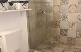 Apartament cu 1 camera, 30 mp, imobil tip casa, mobilat modern, acces gradina