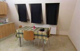 De vanzare mansarda de 99 mp utili, POD de 99 mp! Cu parcare! Zona Tauti!