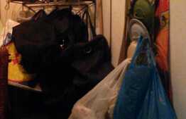 Vanzare apartament 2 camere, 52 mp, etaj intermediar, zona strazii Horea