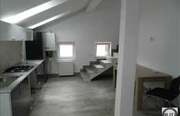 Apartament 3 camere, 65 mp utili, garaj, terasa 14 mp, zona strazii Borhanciului