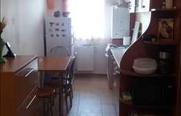 Vanzare 2 camere, 56 mp, decomandat! Terasa de 14 mp! Zona strazii Porii!