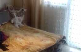 Vanzare apartament 3 camere, 58 mp, etaj intermediar, zona Regal