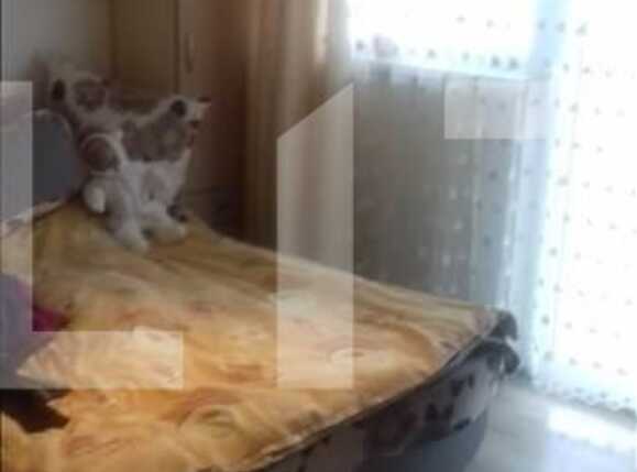 Apartament de vânzare 3 camere Baciu - 23539AV | BLITZ Cluj-Napoca | Poza2