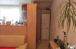 Vanzare 3 camere, 73 mp, balcon, zona strazii Florilor! Mobilat!