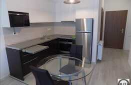 2 camere, 46 mp, imobil nou, mobilat modern, garaj, boxa, zona strazii Buna Ziua