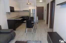 2 camere, 46 mp, imobil nou, mobilat modern, garaj, boxa, zona strazii Buna Ziua